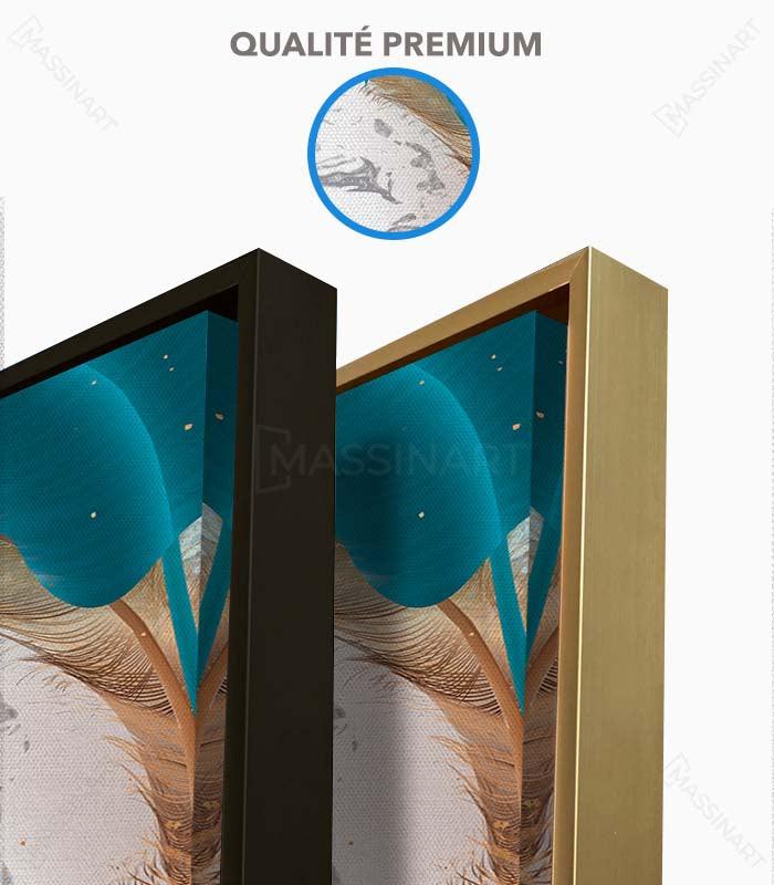 Plumes colorées - Caisse Américaine - Massinart.ma  décoration murale au Maroc