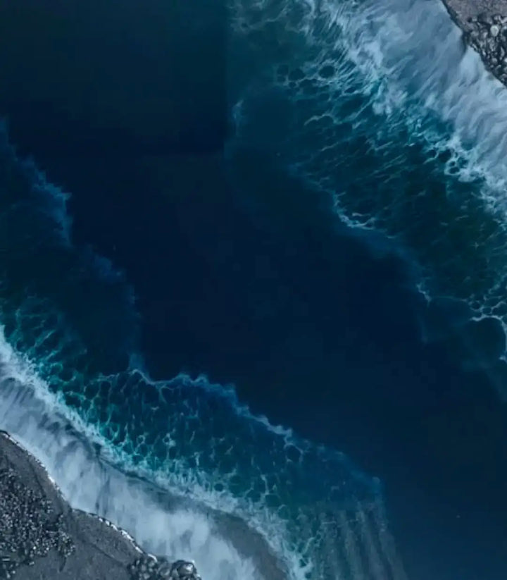 The Black Sea - signé par l'artiste Maryam Youssefi – Massinart