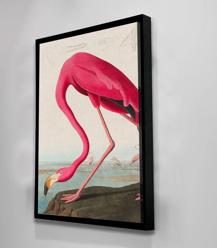 Tableau The Flamingo's Stance oiseau exotique couleurs rose Massinart