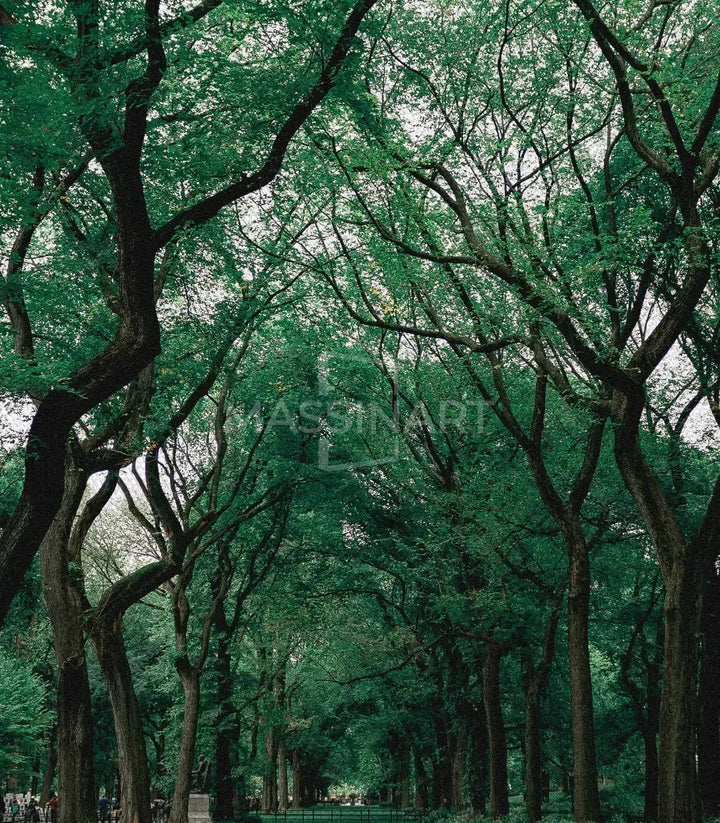 Tableau Path of The Forest Massinart