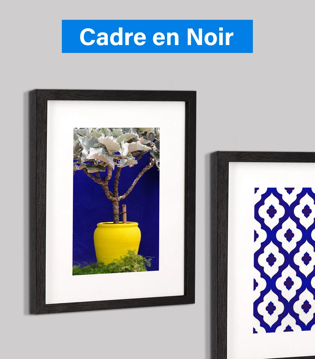 Majorelle