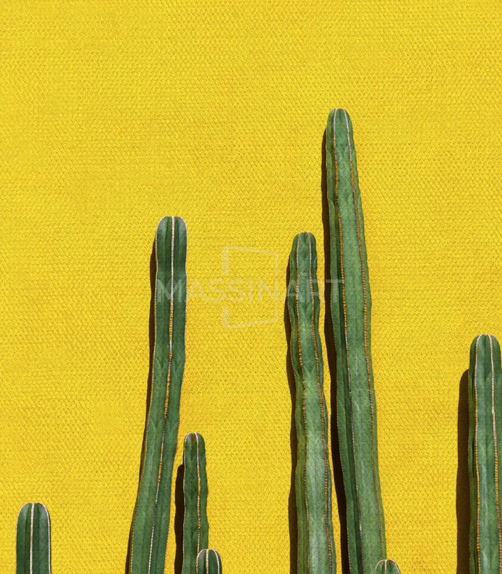 Decoration bureau minimaliste — tableau cactus nature Massinart