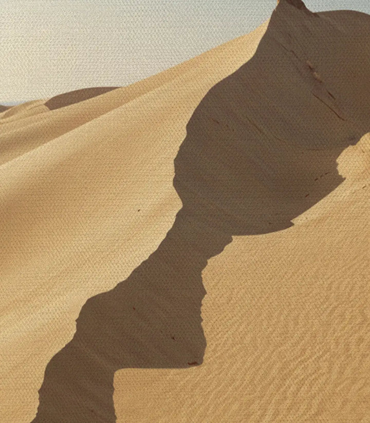 Tableau Desert Identity style épuré salon contemporain Massinart