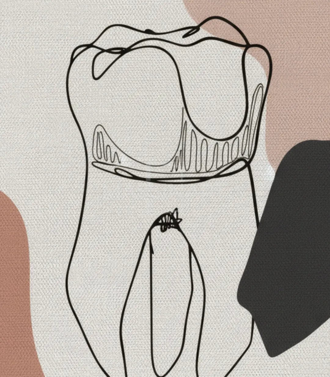 Tooth Outline