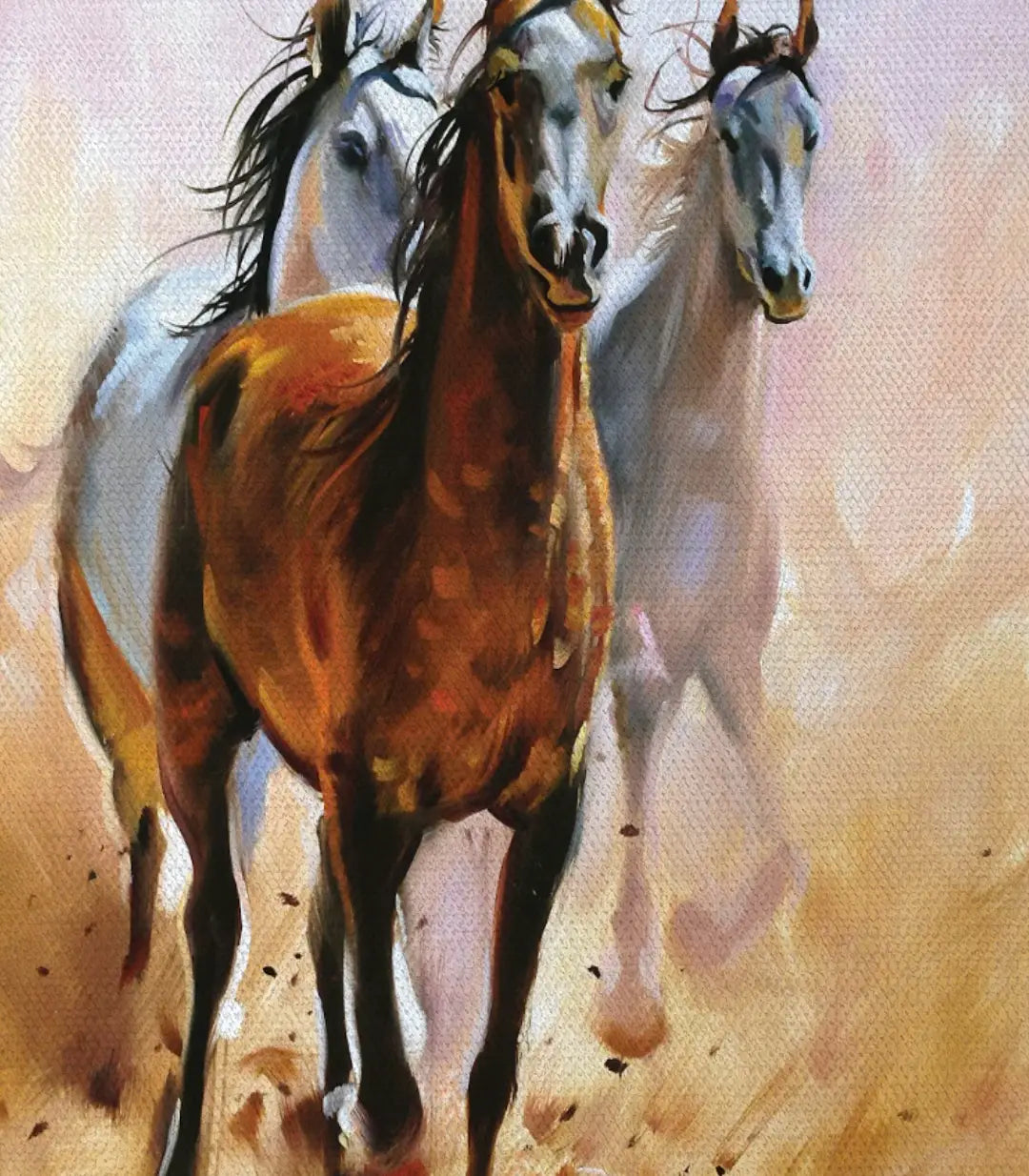 Equus - Ventes Flash