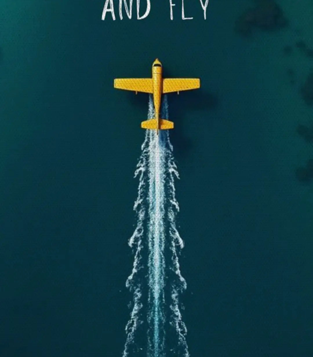 Fly