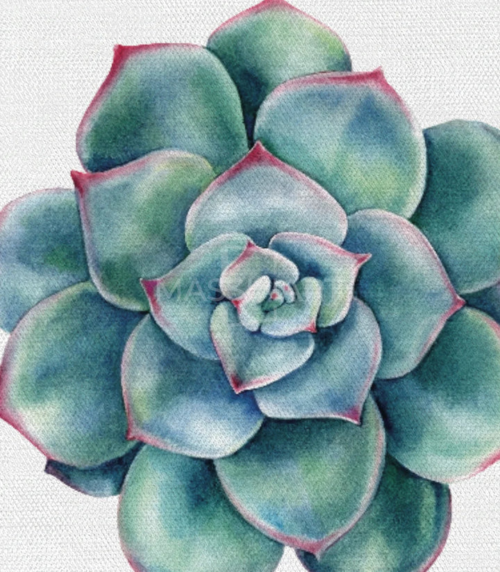 Mise en situation séjour - Triptyque Cactus tableau nature Massinart