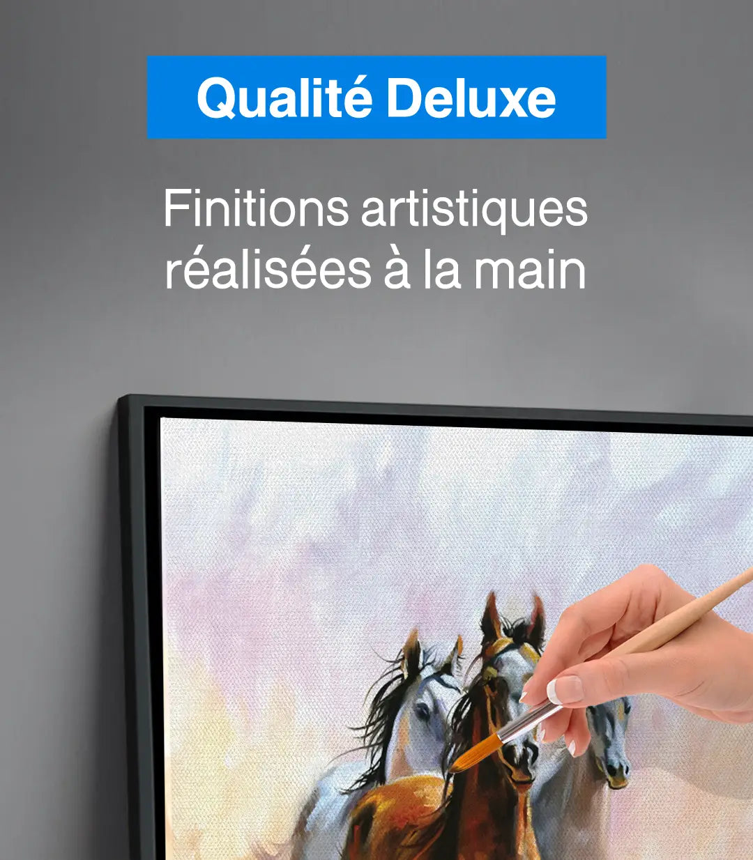 Equus - Ventes Flash