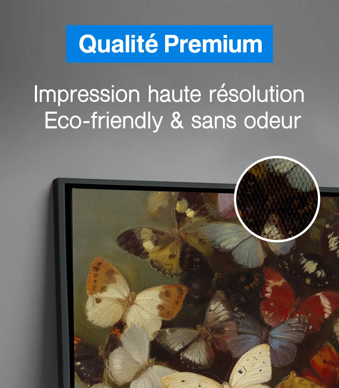 Variante décoration Papillons Massinart — intérieur maison