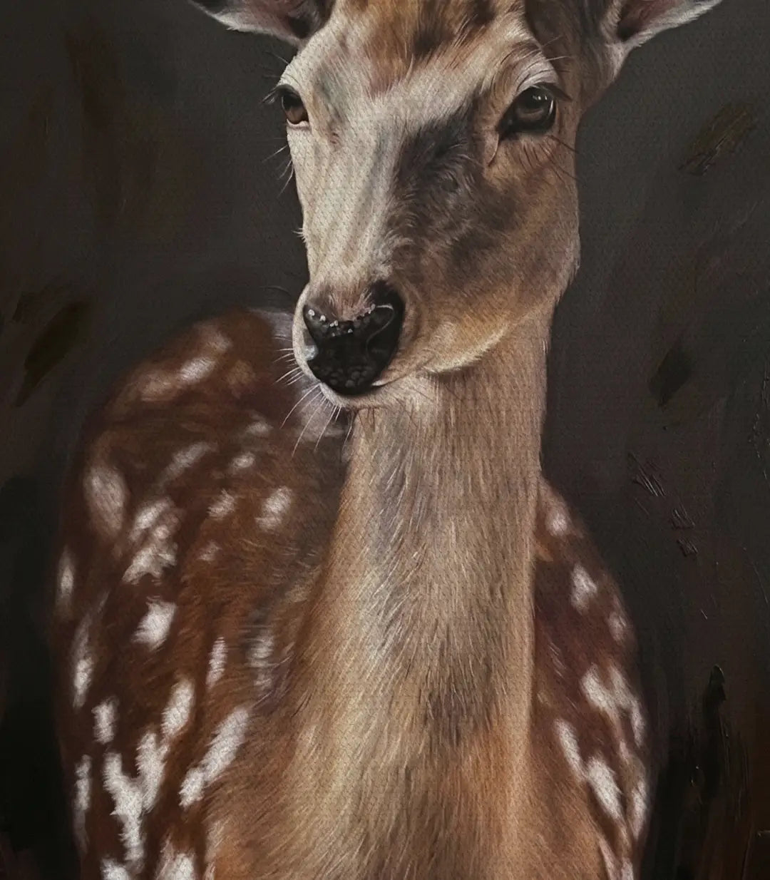 Gazelle