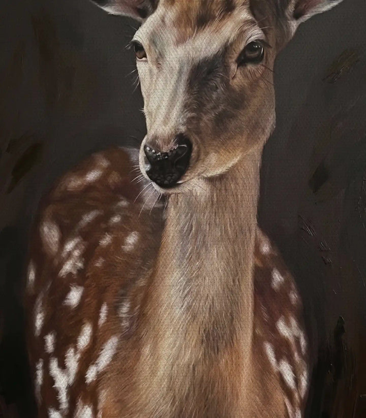 Gazelle