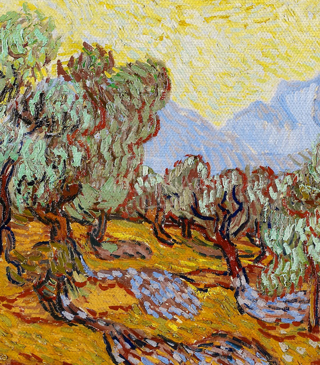 Olive Trees By Vincent van Gogh