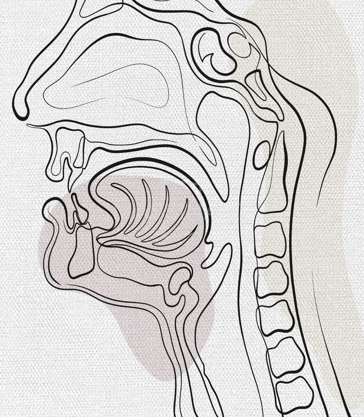 Affiche médicale anatomie oto-laryngologie triptyque cadres noirs — Massinart