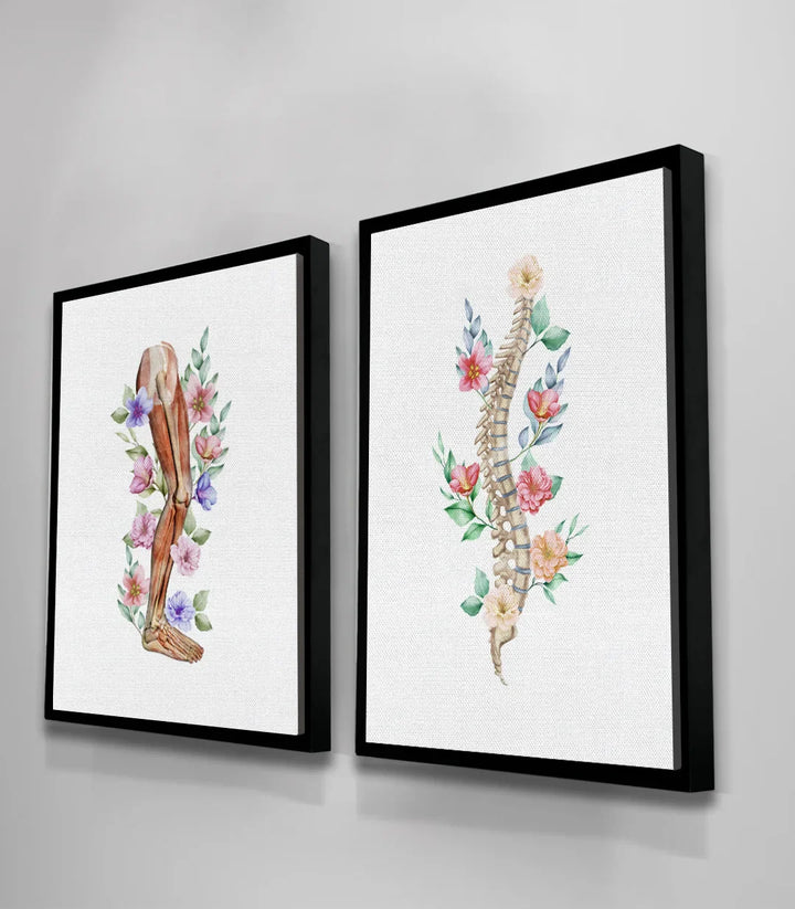 Mise en situation couloir — dyptique anatomie florale Massinart