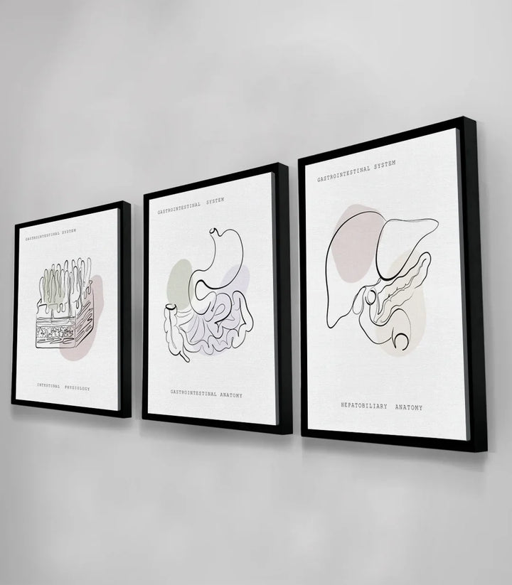Tableau Gastro Art triptyque, art médical minimaliste ligne fine Massinart