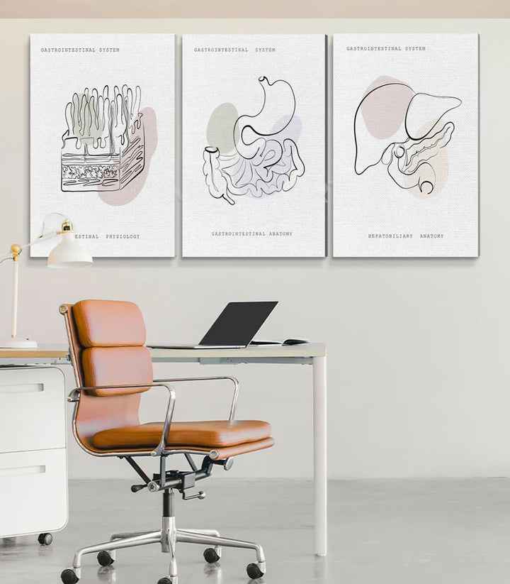 Tableau Gastro Art triptyque, illustration anatomique foie et estomac Massinart