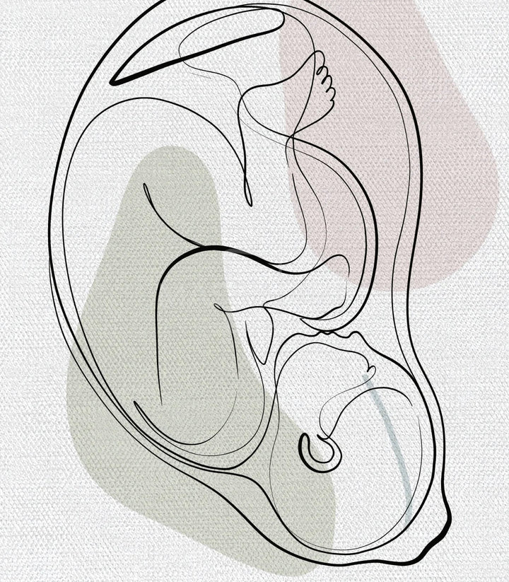 Détail illustration utérus Womb Essence ligne minimaliste Massinart