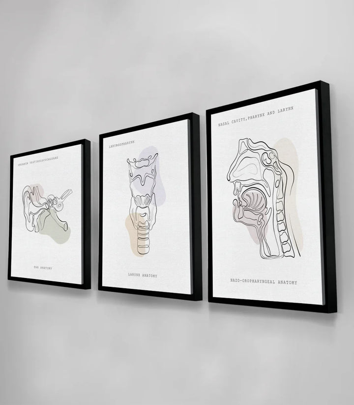 Tableau Sonic Anatomy détail cavité nasale schéma anatomique — Massinart