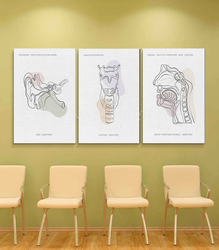 Tableau Sonic Anatomy détail oreille anatomie minimaliste illustration médicale — Massinart