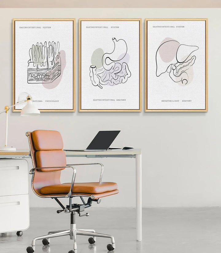 Tableau Gastro Art triptyque, système digestif design minimaliste Massinart