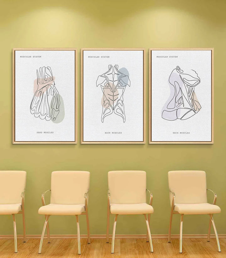 Tableau muscles cou anatomie minimaliste line art Massinart