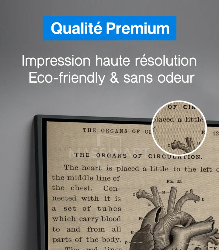 Tableau Bone and Beat diptyque — style vintage cabinet médical Massinart