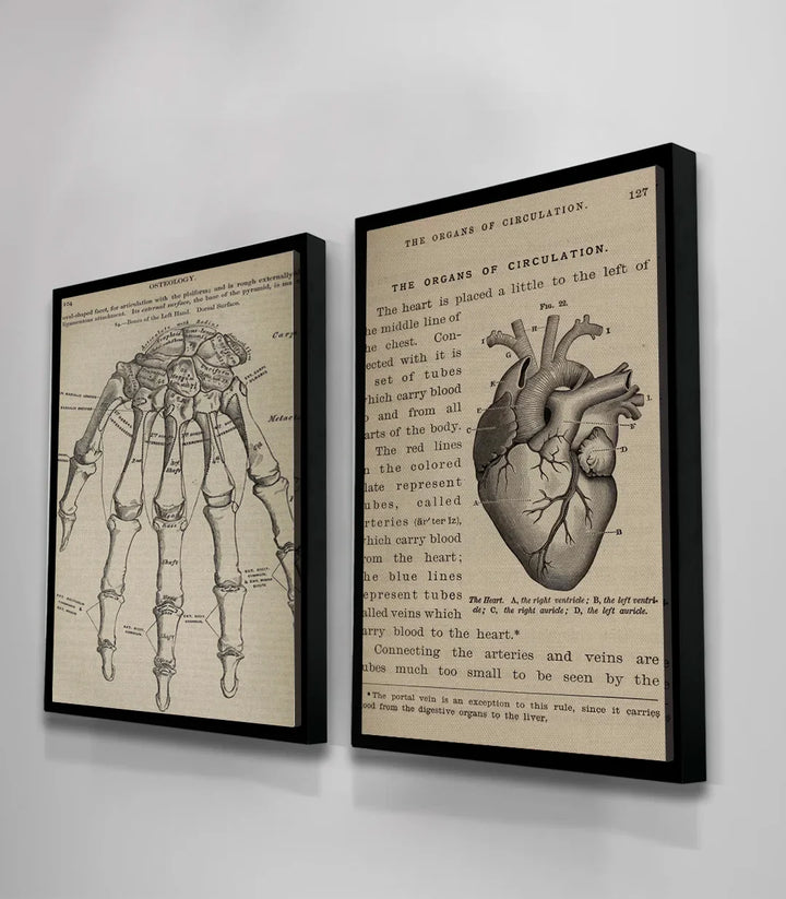 Tableau Bone and Beat diptyque — décor scientifique minimaliste Massinart