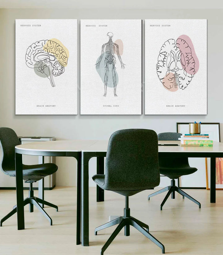 Tableau Neural Network décoration intérieur Massinart — cerveau anatomie minimaliste