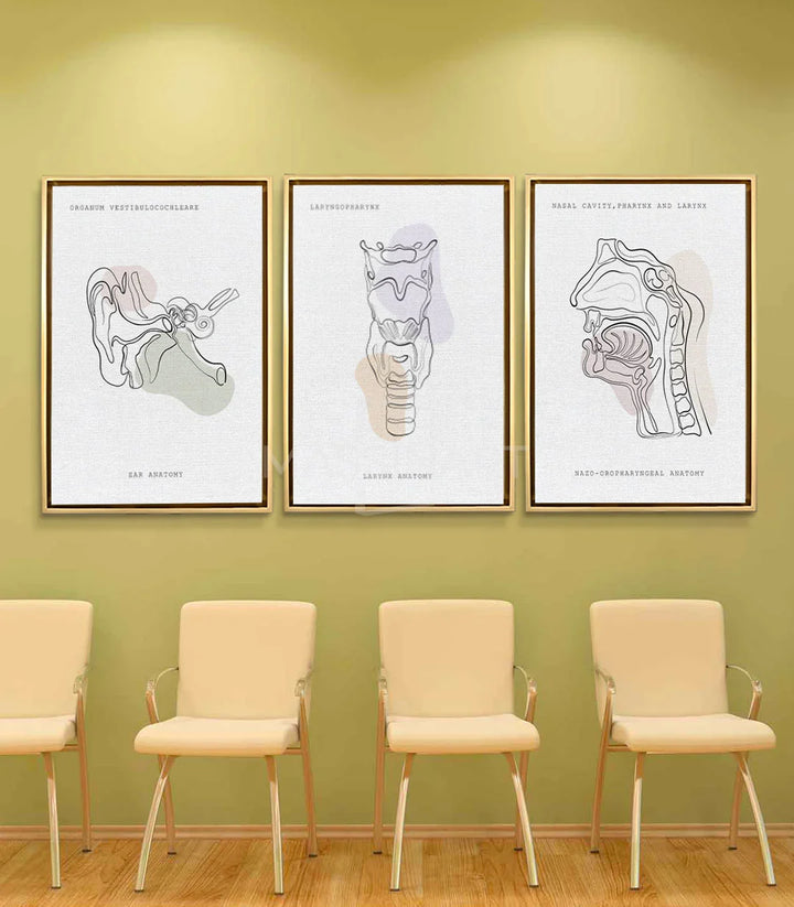 Mise en situation salon moderne: triptyque Sonic Anatomy affiches anatomiques mur jaune — Massinart