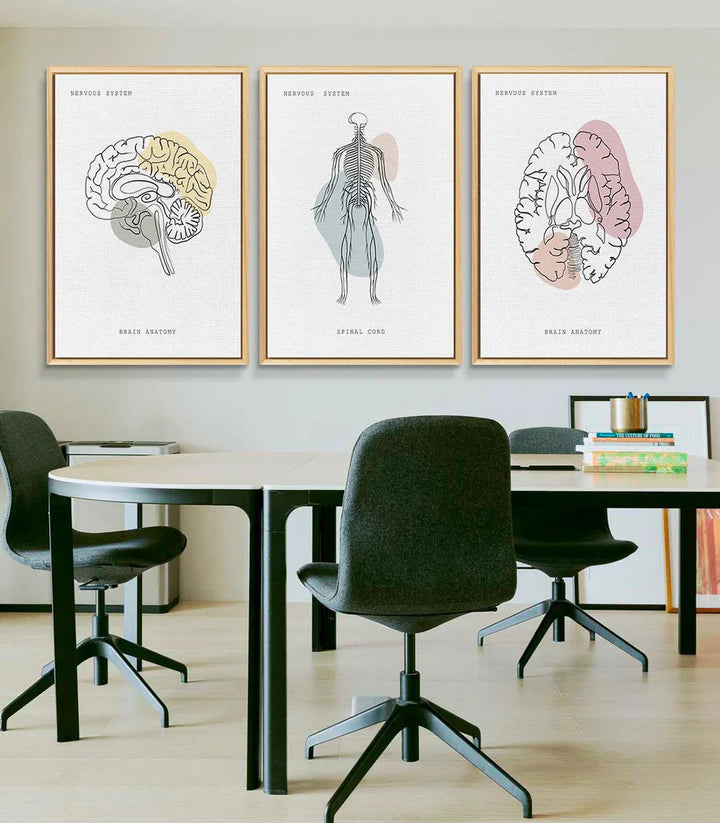 Tableau Neural Network décoration cabinet médical Massinart — moelle épinière illustration