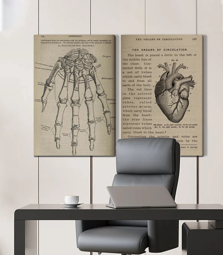 Décoration intérieur bureau — Tableau Bone and Beat diptyque scientifique Massinart