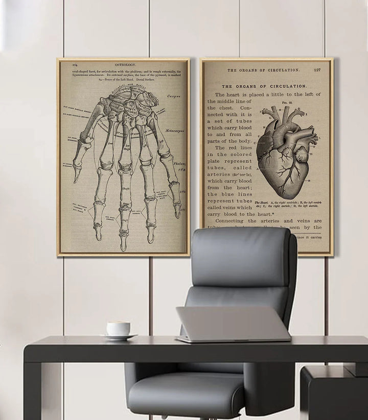 Mise en situation bureau — Tableau Bone and Beat diptyque anatomie Massinart