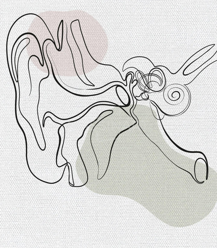 Triptyque anatomie moderne minimaliste illustration médicale éducative — Massinart