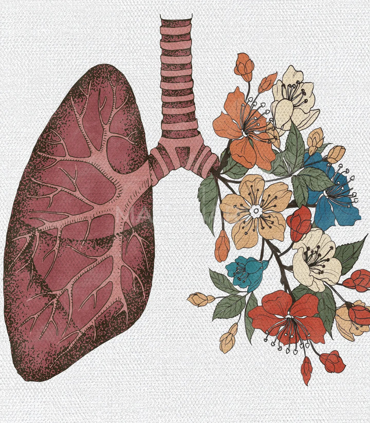 Détail poumon floral — Illustration médicale botanique Massinart