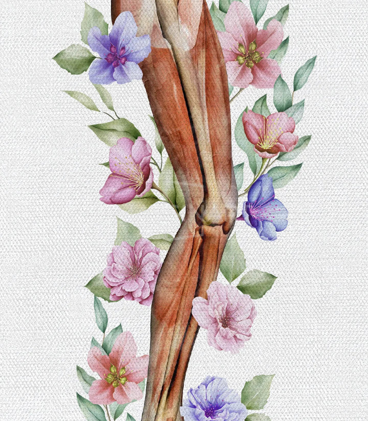 Détail tableau anatomie florale Massinart — aquarelle premium