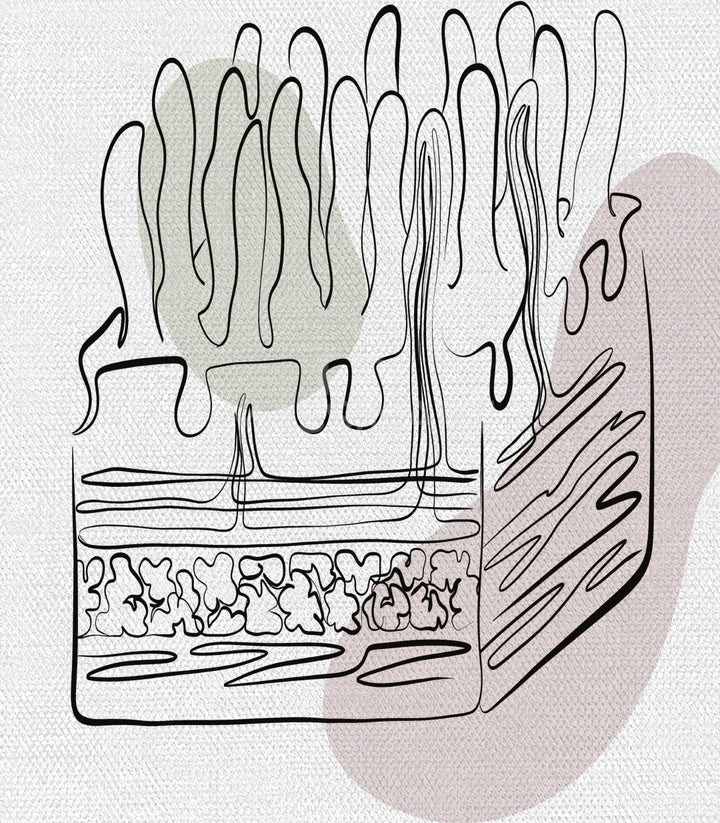 Tableau Gastro Art triptyque, illustration système gastrointestinal Massinart