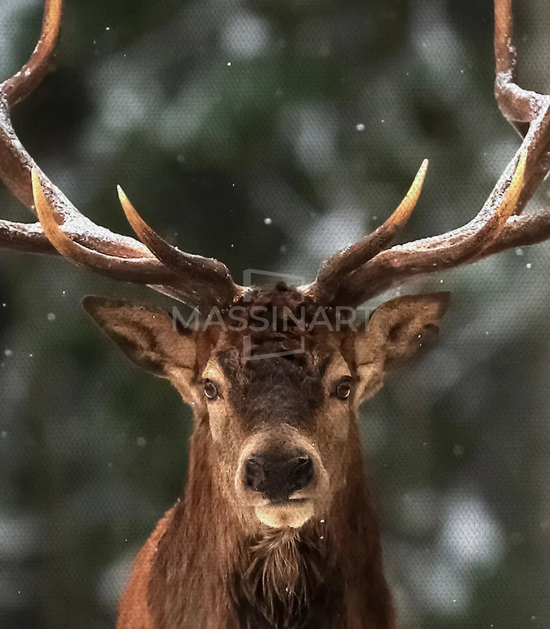 Deer_s Gaze