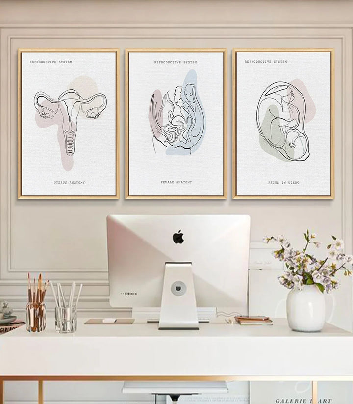 Tableau Womb Essence - fœtus in utero illustration anatomique minimaliste Massinart