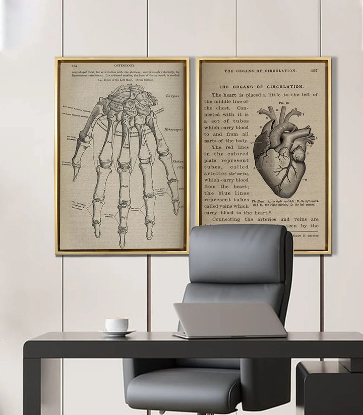 Tableau Bone and Beat diptyque — illustration cœur circulation Massinart