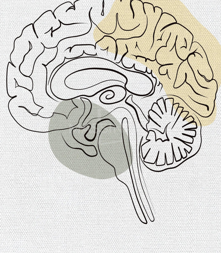 Tableau Neural Network style minimaliste Massinart — système nerveux watercolor