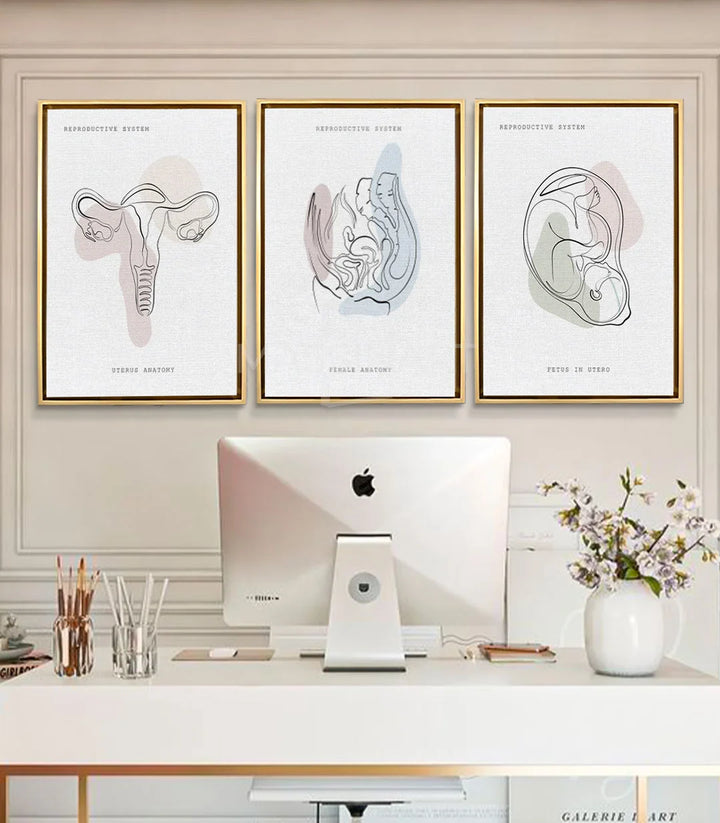 Tableau Womb Essence - système reproductif féminin ligne continue minimaliste Massinart