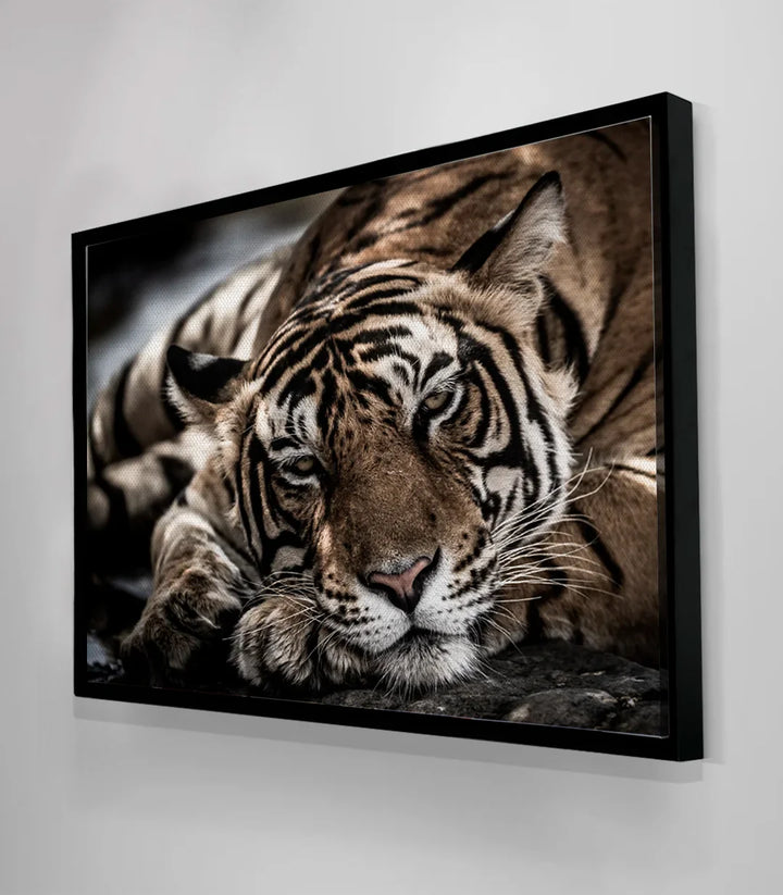 Tableau animalier tigre horizontal pour salon moderne Massinart