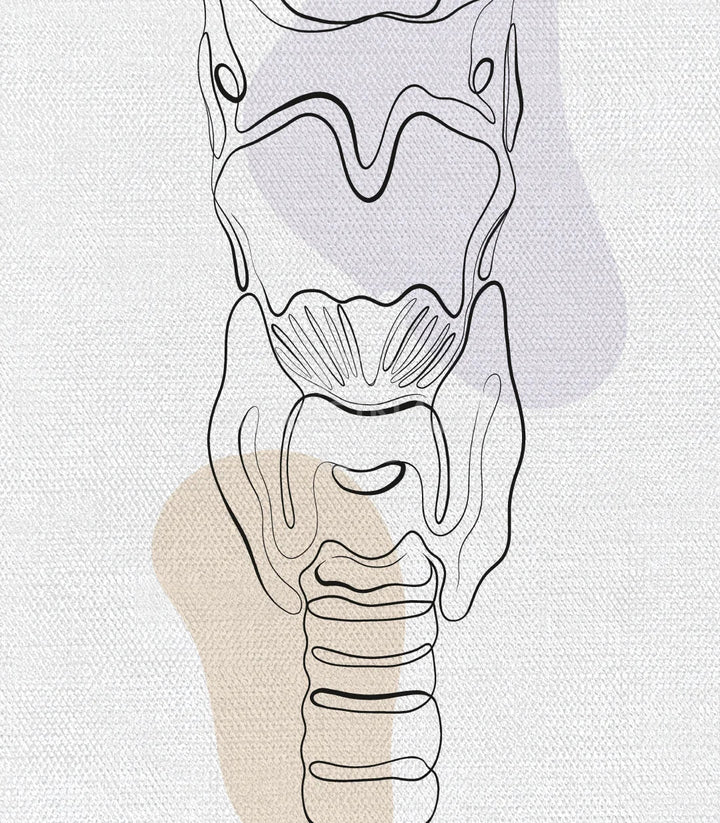Décoration bureau professionnel: Sonic Anatomy illustrations scientifiques — Massinart
