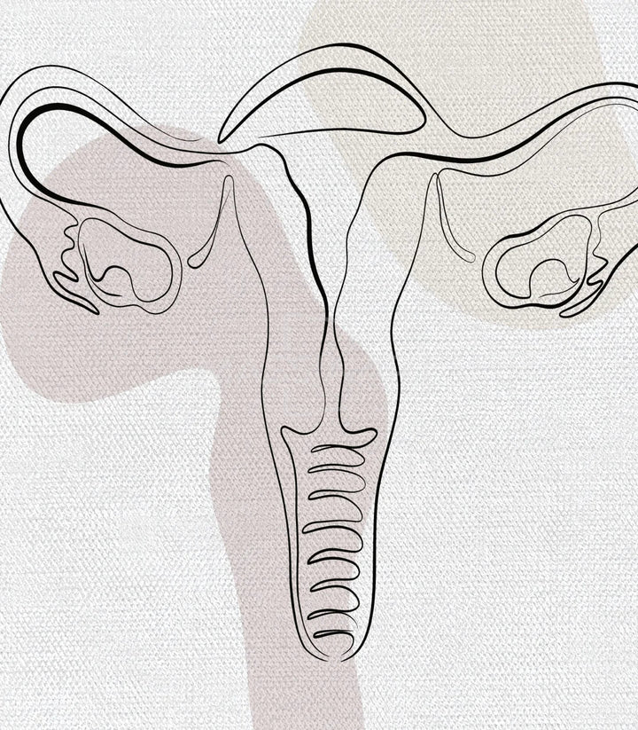 Triptyque complet Womb Essence système reproductif féminin Massinart