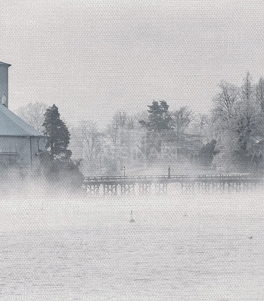 Winter Landscape