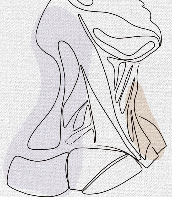 Tableaux line art système musculaire trois cadres noirs Massinart