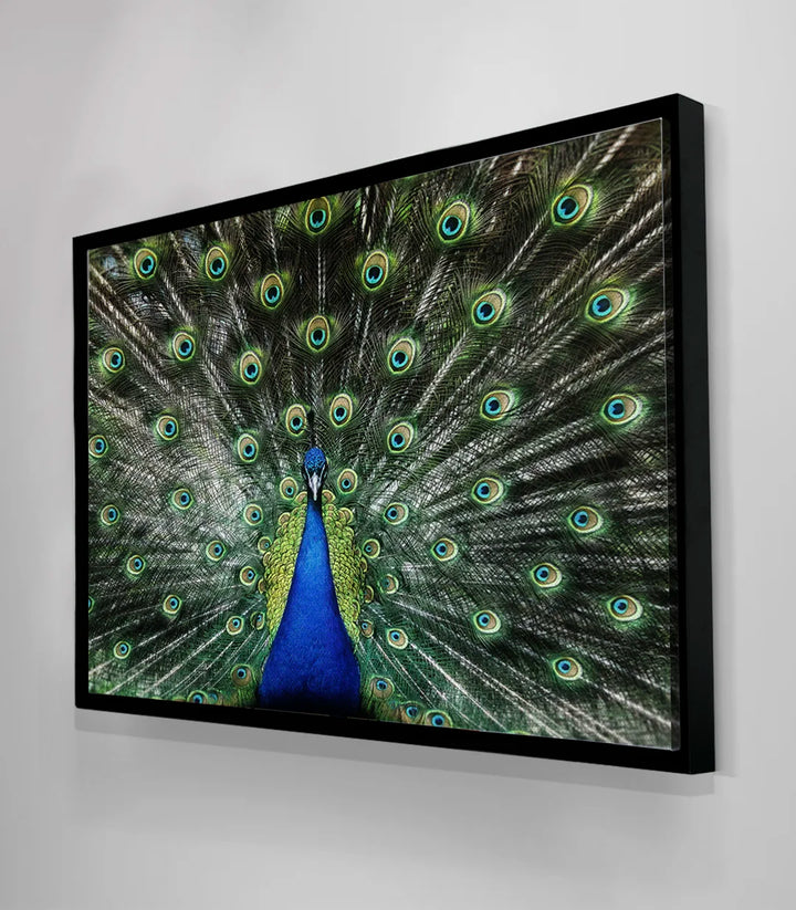 Tableau Iridescent Glory paon Massinart — perspective mur salon