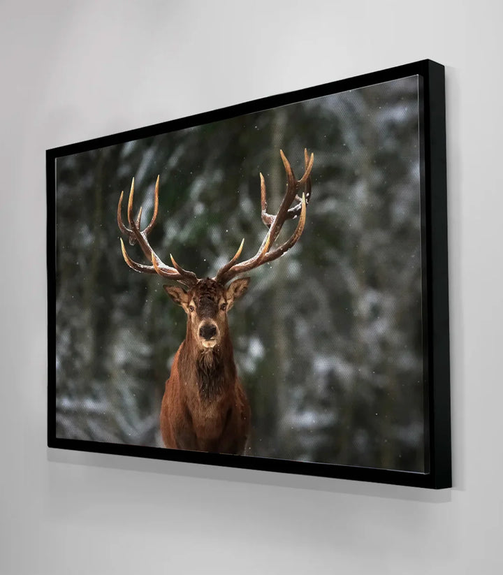 Tableau photo-art cerf, style réaliste nature brute salon moderne Massinart