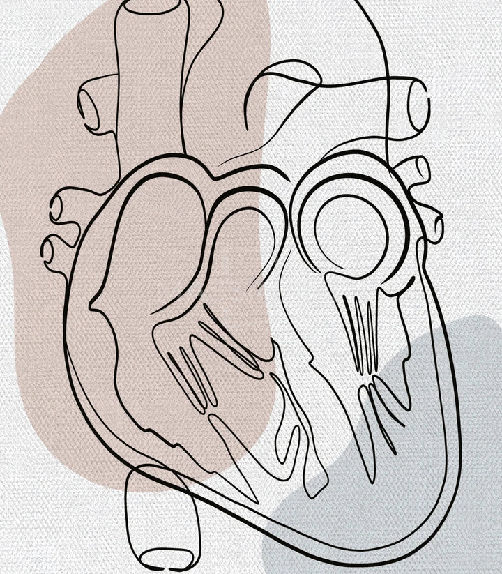 Détail frame right Tableau Heart Anatomy système cardio-vasculaire complet — Massinart