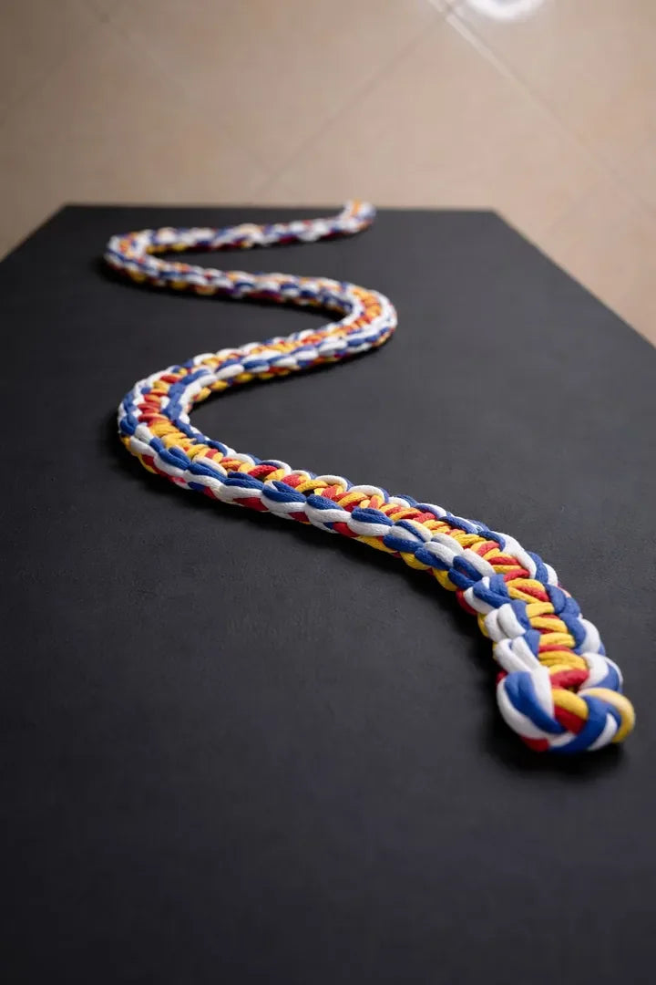 CHROMATIC LIGNE - signe par l'artiste "AMAL Abdouh"